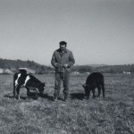 Bringing calves from Thompson's, Salkum 1973