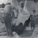 Butchering Beef in Nampa, 1977