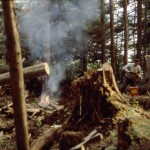 Clearing Sitka House Site