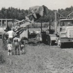 Clearing land, Floyd George, Salkum, 1975