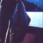 First Fish - 20lb Halibut