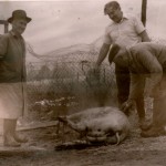 Pig Killing, Hungary, 1979